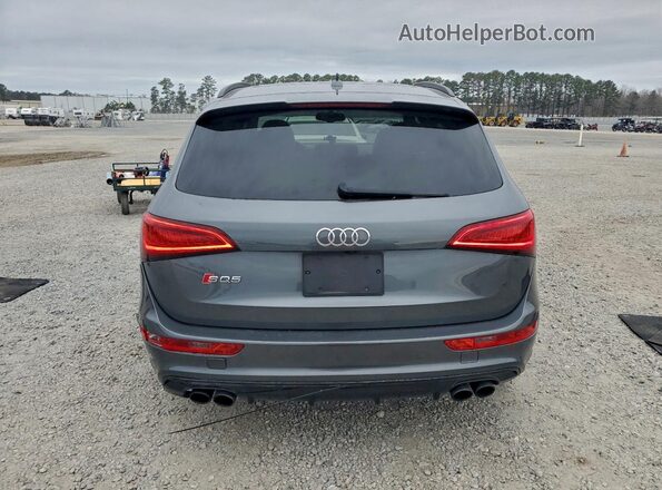 WA1CCAFP3HA045979 2017 AUDI SQ5 Gray უკანა ხედი