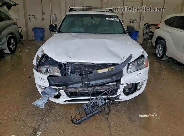WA1CCAFP4HA036398 2017 AUDI SQ5 Белый Вид спереди