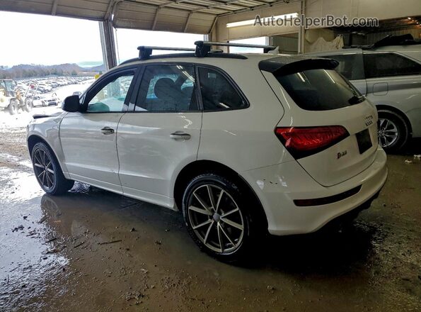 WA1CCAFP4HA036398 2017 AUDI SQ5 Белый Задняя левая четверть