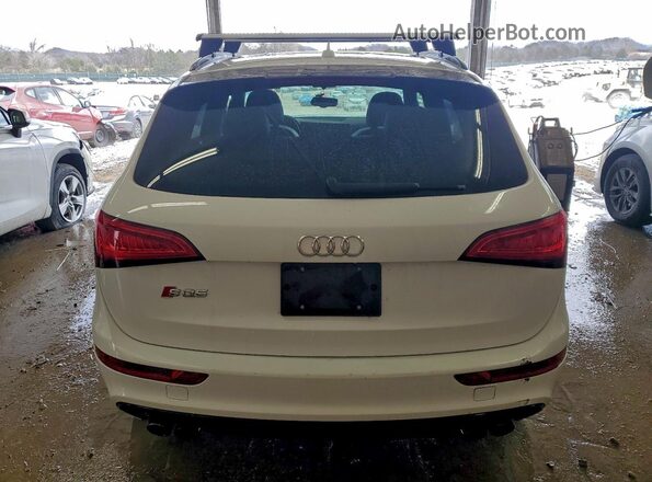 WA1CCAFP4HA036398 2017 AUDI SQ5 Белый Вид сзади