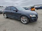 2016 Audi Sq5 Premium Plus Black vin: WA1CCAFP5GA071787