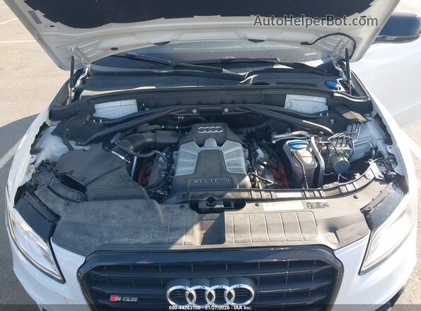 WA1CCAFP7HA082632 2017 AUDI SQ5 White უკანა ხედი