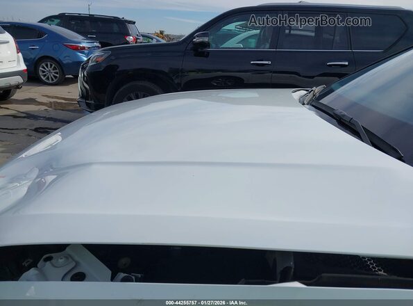 WA1DECF39P1136664 2023 AUDI Q3 Белый 