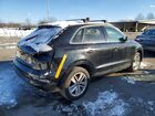 2016 Audi Q3 Premium Plus Black vin: WA1EFCFS5GR015785