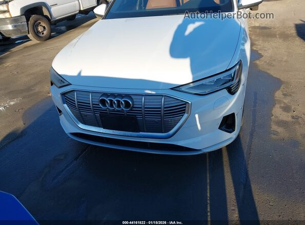 WA1LAAGE2KB023217 2019 AUDI E-TRON Белый Вид щитка приборов