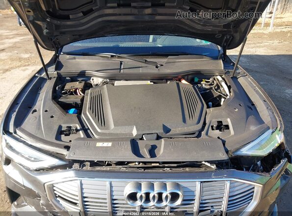 WA1LABGE0MB010040 2021 AUDI E-TRON Gray Rear view