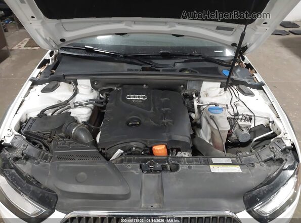 WA1UFAFL0GA014583 2016 AUDI ALLROAD Белый Вид сзади