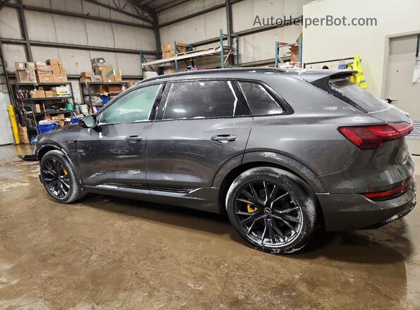 WA1VAAGE6PB009935 2023 AUDI E-TRON Gray Tył lewy