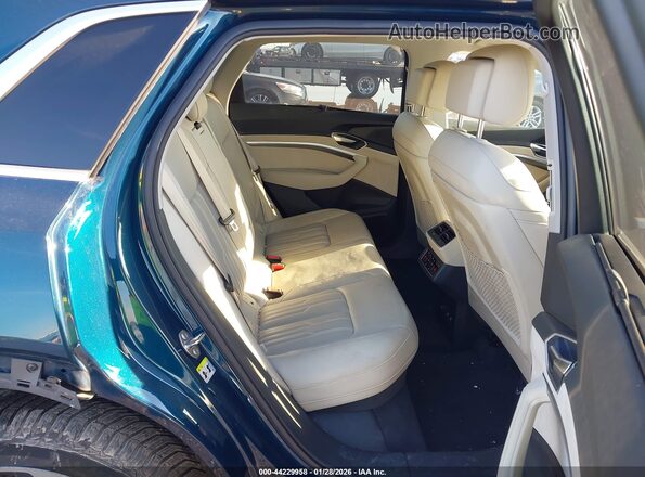 WA1VABGE4KB010161 2019 AUDI E-TRON Blue Vista de la etiqueta del VIN