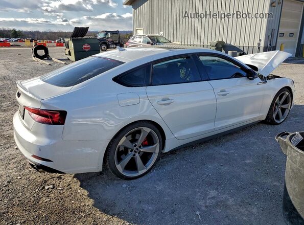 WAUB4CF55KA073456 2019 AUDI S5 White Задня права чверть