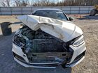 2019 Audi S5 Premium Plus White vin: WAUB4CF55KA073456