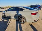 2019 Audi S5 Premium Plus Gray vin: WAUB4CF56KA078567