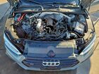 2019 Audi S5 Premium Plus Gray vin: WAUB4CF56KA078567