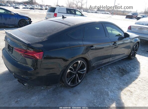 WAUB4CF56MA018551 2021 AUDI S5 Black Tył prawy