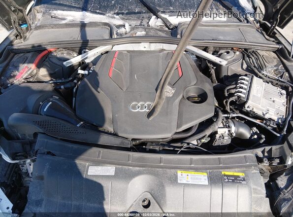 WAUB4CF56MA018551 2021 AUDI S5 Black Widok z tyłu