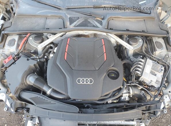 WAUB4CF56MA044454 2021 AUDI S5 Gray Вид задньої частини салону