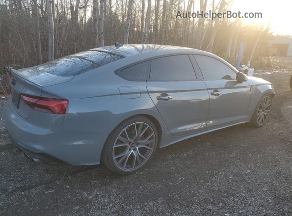 WAUB4CF56MA044454 2021 AUDI S5 Gray Задня права чверть