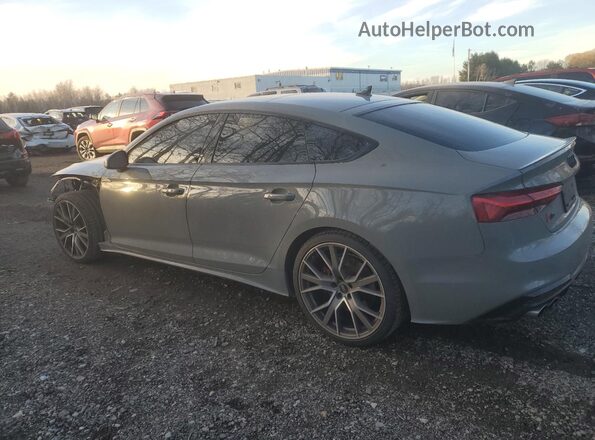 WAUB4CF56MA044454 2021 AUDI S5 Gray Задня ліва чверть