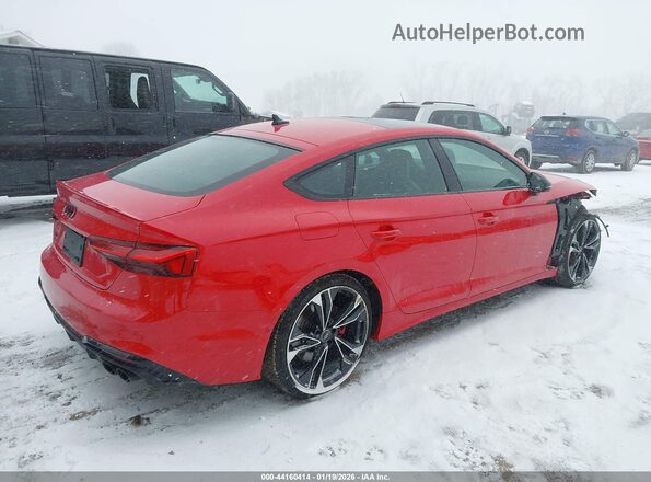 WAUB4CF56PA014553 2023 AUDI S5 Red Trasero derecho