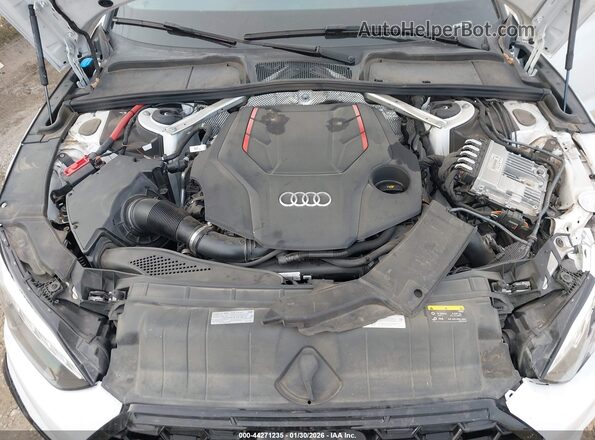 WAUC4CF50PA057483 2023 AUDI S5 Белый Вид сзади