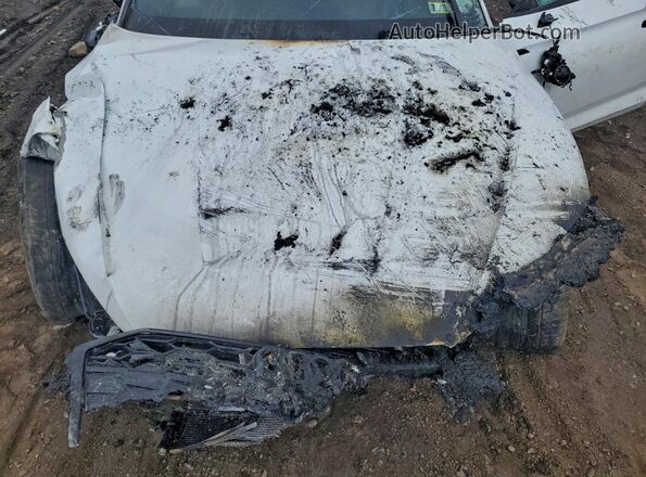 WAUC4CF52NA012638 2022 AUDI S5 Белый Вид задней части салона