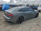 2024 Audi S5 Premium Plus Зеленый vin: WAUC4CF53RA068528