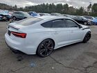 2024 Audi S5 Premium Plus White vin: WAUC4CF56RA024913