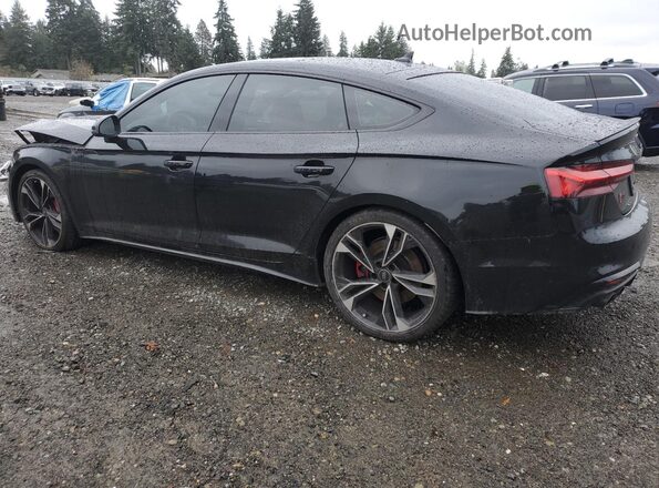 WAUC4CF59PA006483 2023 AUDI S5 Черный Задняя левая четверть