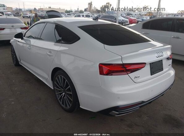 WAUCBCF5XPA034217 2023 AUDI OTHER White Tył lewy
