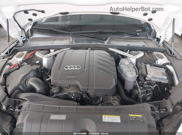 WAUCBCF5XPA034217 2023 AUDI OTHER White Widok z tyłu