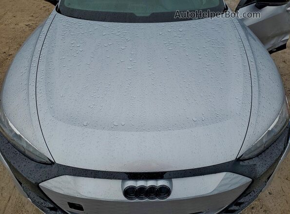 WAUCJBFWXP7008137 2023 AUDI E-TRON Серебряный Вид задней части салона