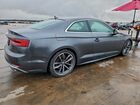 2019 Audi S5 Prestige Gray vin: WAUR4AF54KA004924
