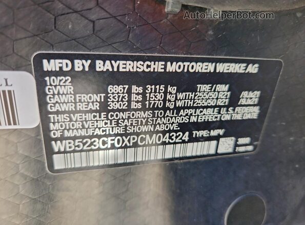 WB523CF0XPCM04324 2023 BMW IX White Панорамний вид салону 360°