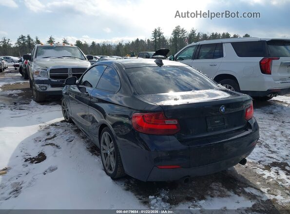 WBA1J7C56GV359249 2016 BMW M2 Black Tył lewy