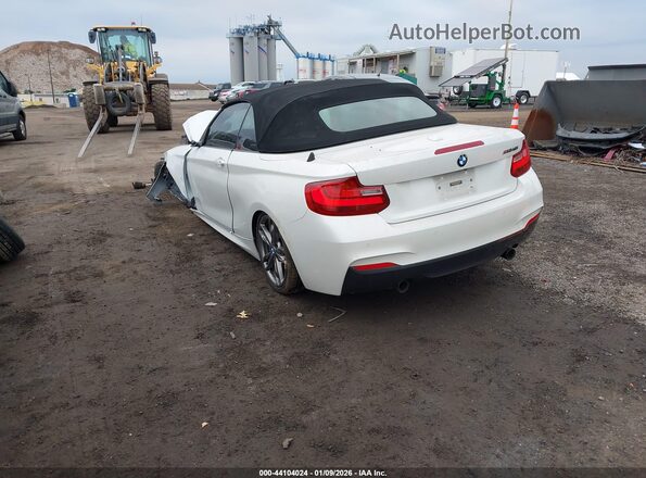 WBA2L1C36HV666710 2017 BMW M2 Белый Задняя левая четверть