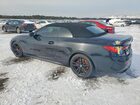 2021 Bmw M440i Black vin: WBA53AT0XMCG85529