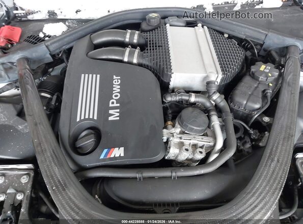 WBS2U7C06M7J66319 2021 BMW M2 Gray Widok z tyłu