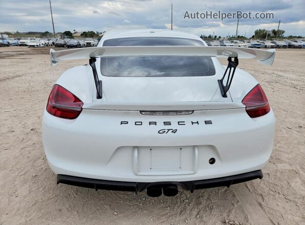 WP0AC2A82GK197098 2016 PORSCHE CAYMAN Белый Вид сзади
