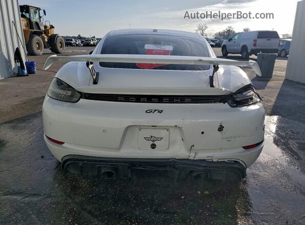 WP0AC2A83MK289302 2021 PORSCHE CAYMAN Белый Вид сзади