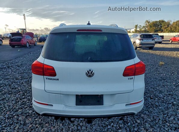 WVGAV7AX7GW090213 2016 VOLKSWAGEN TIGUAN Белый Вид сзади