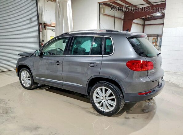 WVGBV7AX0GW532401 2016 VOLKSWAGEN TIGUAN Угольный Задняя левая четверть