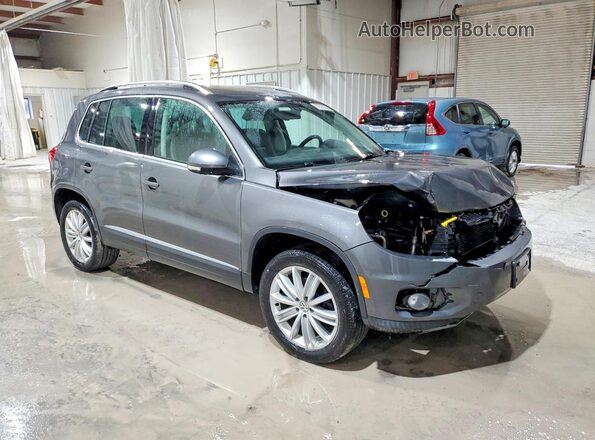 WVGBV7AX0GW532401 2016 VOLKSWAGEN TIGUAN Угольный Передняя правая четверть