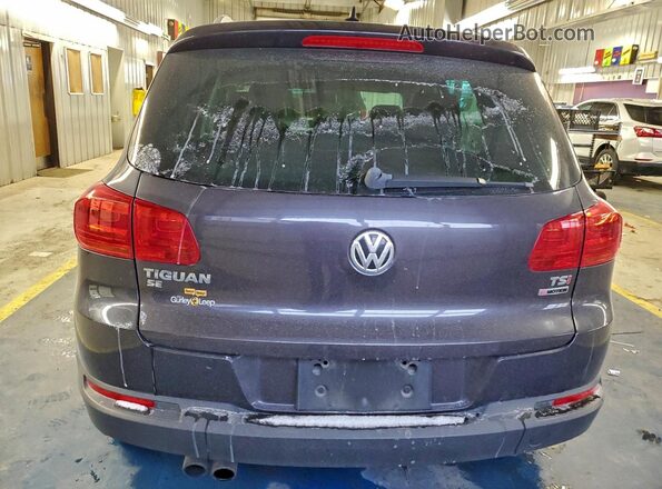 WVGBV7AX9GW534082 2016 VOLKSWAGEN TIGUAN Угольный Вид сзади