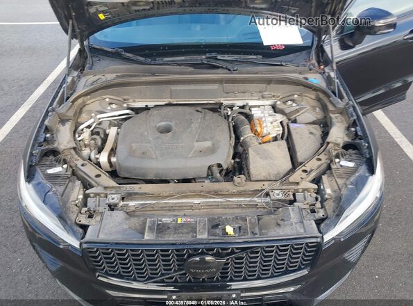 YV4H60DJ3R1842467 2024 VOLVO XC60 RECHARGE PLUG-IN HYBRID Black Widok z tyłu