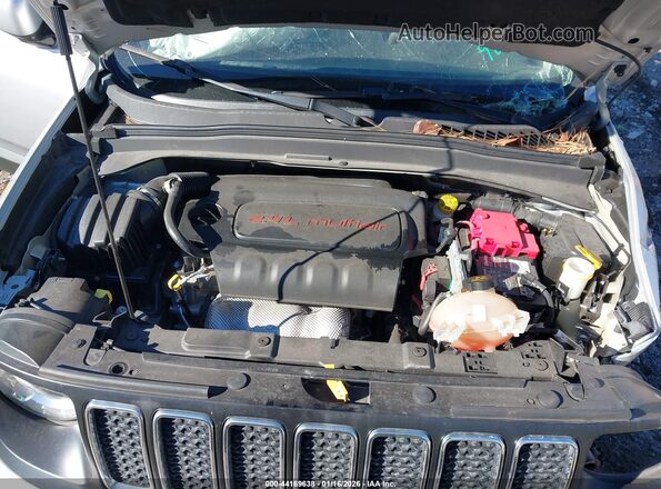 ZACNJABB2KPK90971 2019 JEEP RENEGADE Gray Widok z tyłu