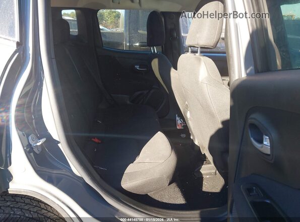 ZACNJBAB9KPK73754 2019 JEEP RENEGADE Gray Widok naklejki z numerem VIN