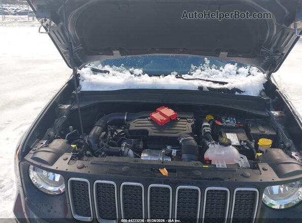 ZACNJDB15PPP57381 2023 JEEP RENEGADE Gray უკანა ხედი