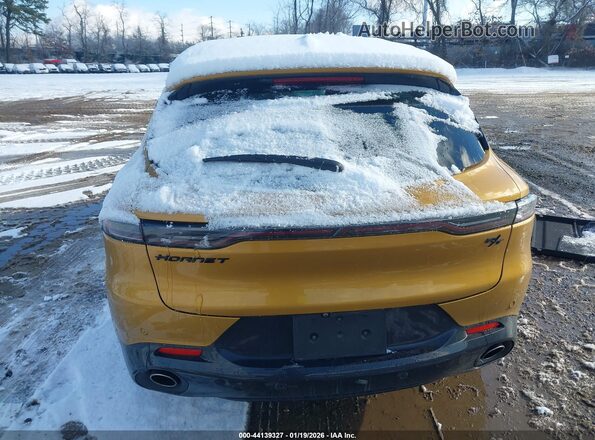 ZACPDFDW4R3A16799 2024 DODGE OTHER Gold 