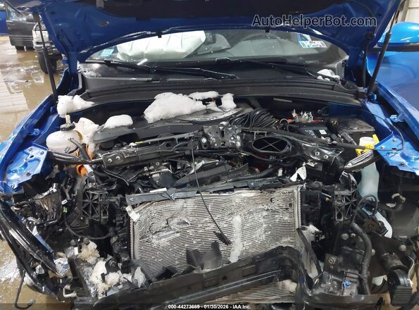 ZACPDFDW7R3A12228 2024 DODGE OTHER Синий Вид сзади