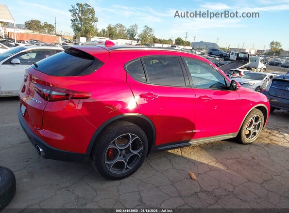 ZASPAKAN7K7C35126 2019 ALFA ROMEO STELVIO Красный Вид задней части салона
